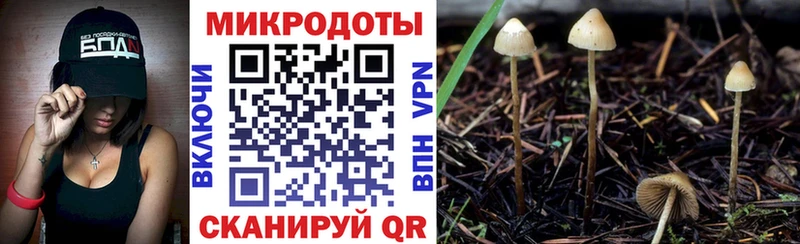Купить закладки  Великие Луки  Галлюциногенные грибы Magic Shrooms 