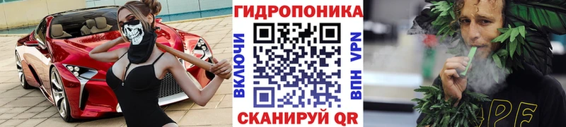 Купить  Великие Луки  Марихуана Ganja 